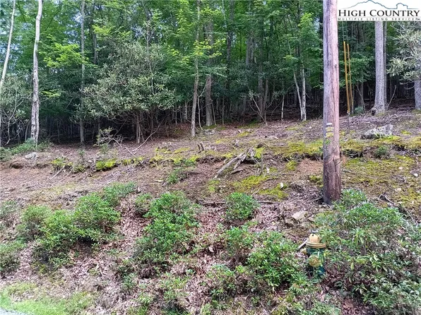 178 Rhododendron Road, Beech Mountain, NC 28604