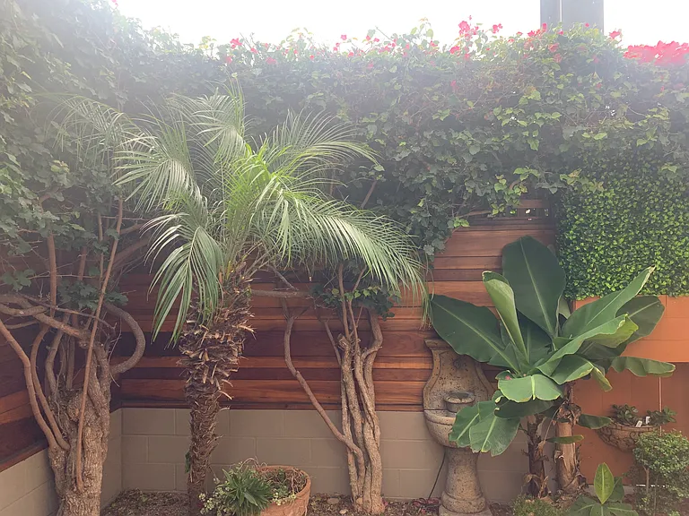 Outside Fenced Private Tropical Patio
