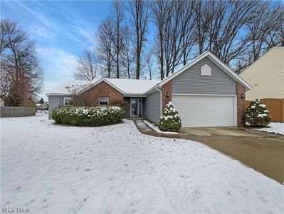 231 Rauscher Ct, Elyria, OH, 44035