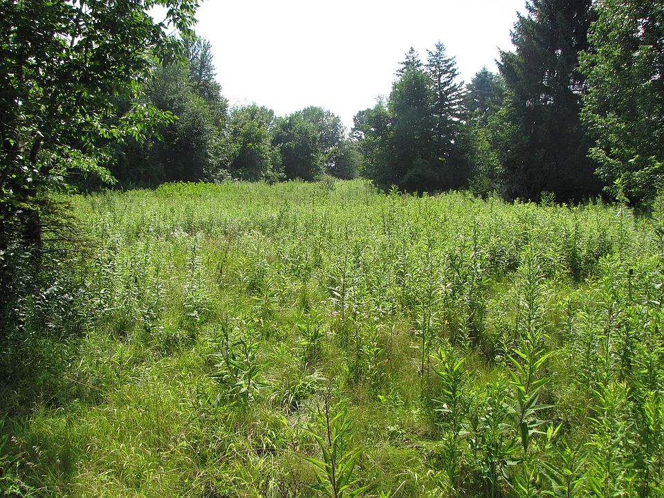 1st image of 25 Paradise Valley Ct #4