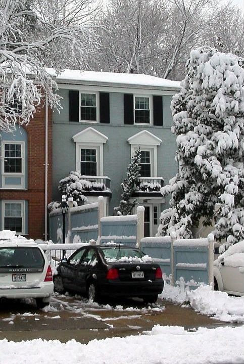 Birchlake in Winter