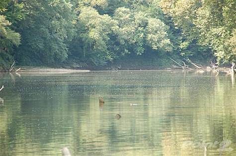 Love the way the river carves its way through the mountains of Kentucky!