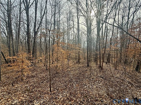 2nd image of 62 Willis Bluff Ln