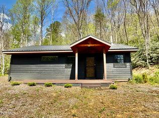 41/AC Roan Creek Rd #2, Butler, TN 37640