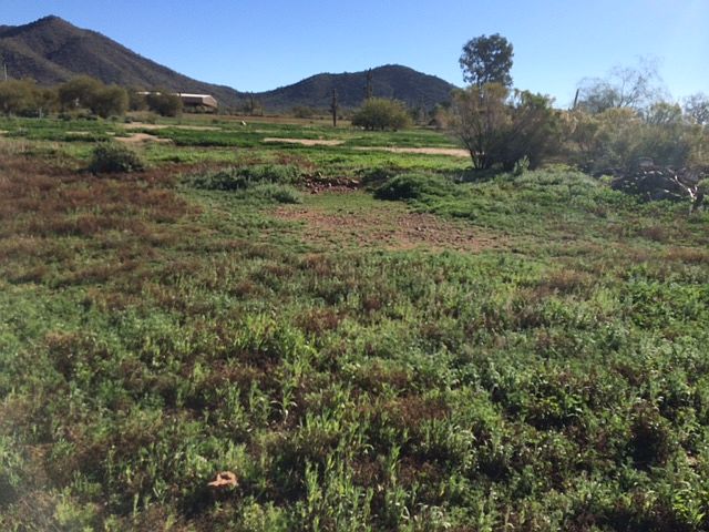 1st image of 10TH St And Saddle Mtn Land