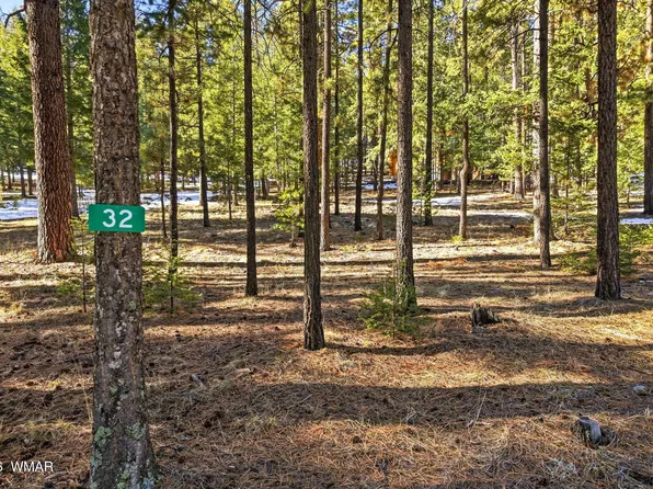 32 N 1068th, Greer, AZ 85927