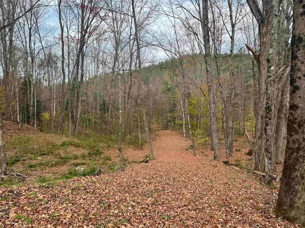 124 Goodfellow Road, Groton, VT 05046