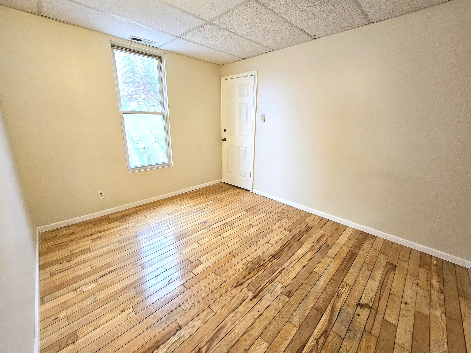 2 bed, 600 sqft, $1,250 — Photo 4
