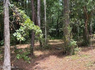 4819 Gopher Cir, Middleburg, FL 32068