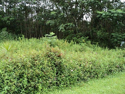 2nd image of Lehua Rd Lot 389