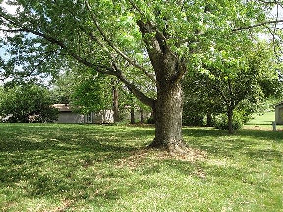 4th image of 825 Lois Ln