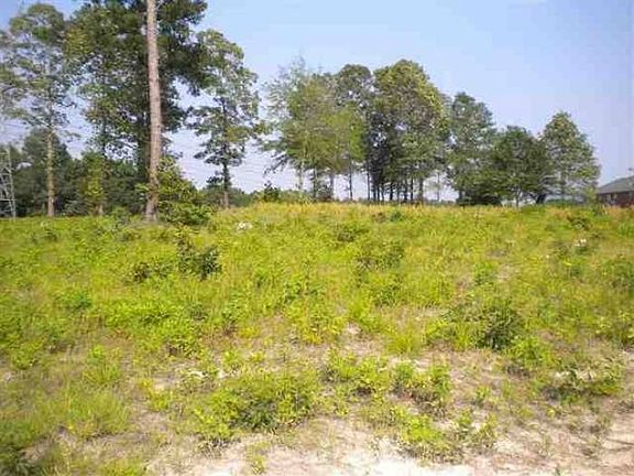Land View