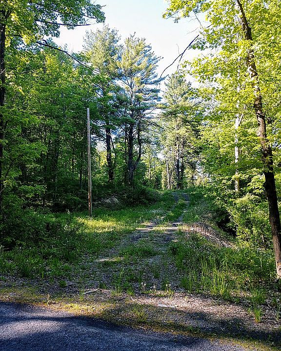 2nd image of 142 Tracey Rd