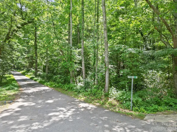 99999 Dingle Creek Ln, Asheville, NC 28803