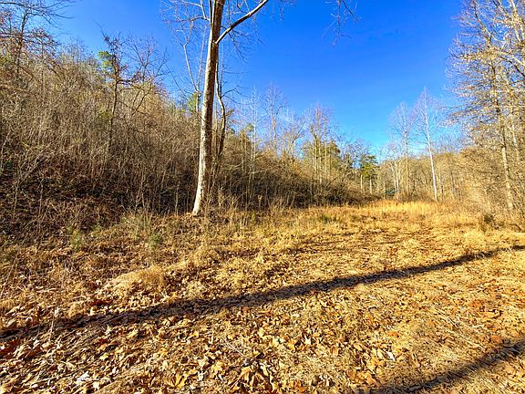 2nd image of 0 Braden Rd Lot 3