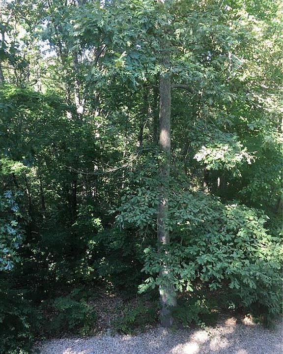 1st image of Renfrew Ln
