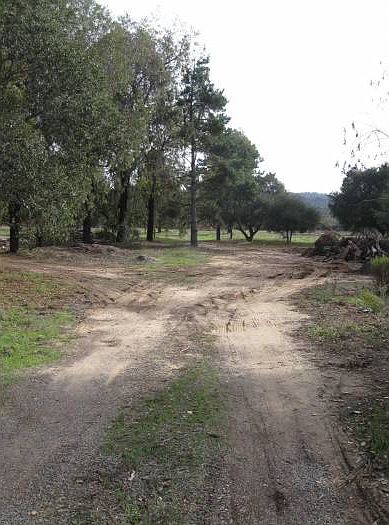 The Property