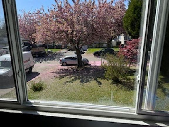 3rd image of 8868 Roslin Pl