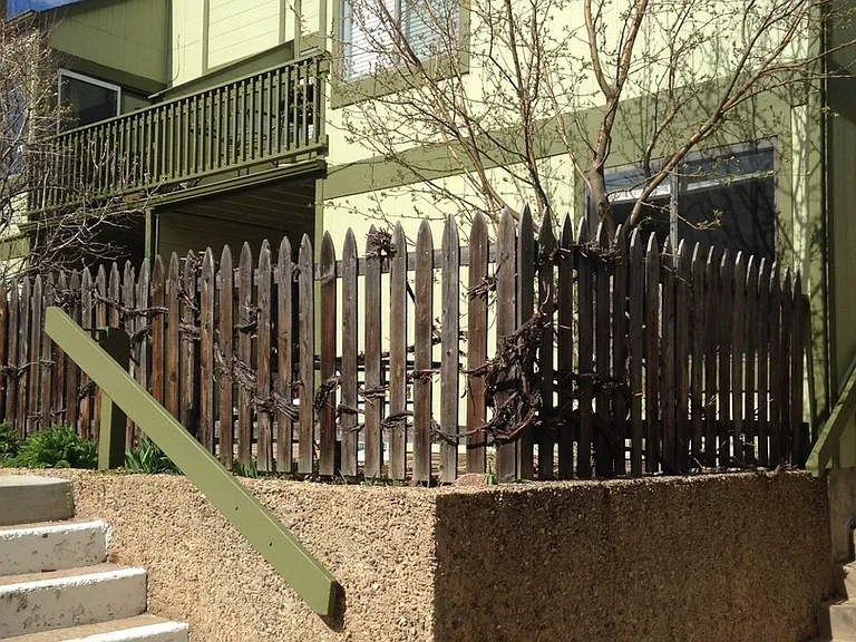 3270 Cripple Creek Trl — Photo 14
