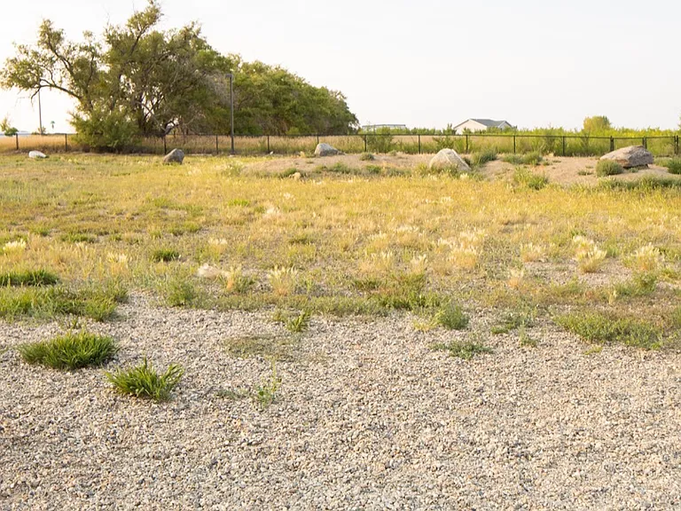Fenced dog run area