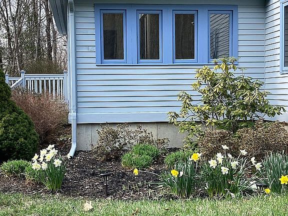 Side View w/Spring Flowers