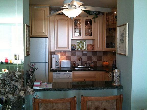 4th image of 1255 N Sandburg Ter Unit 2407