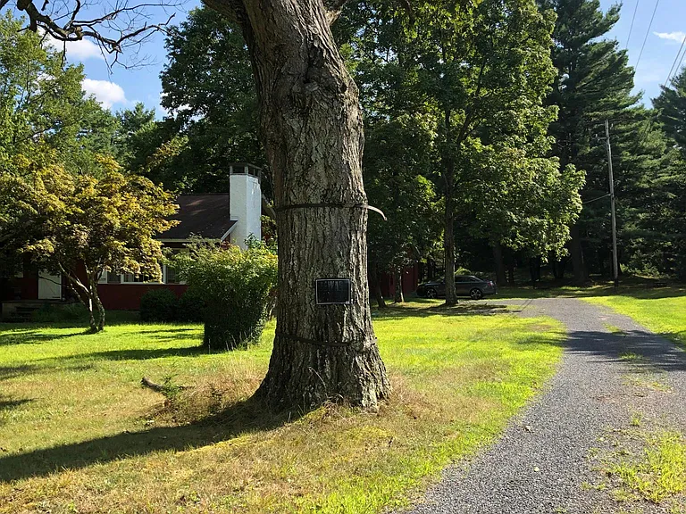 247 Myck Rd — Photo 8