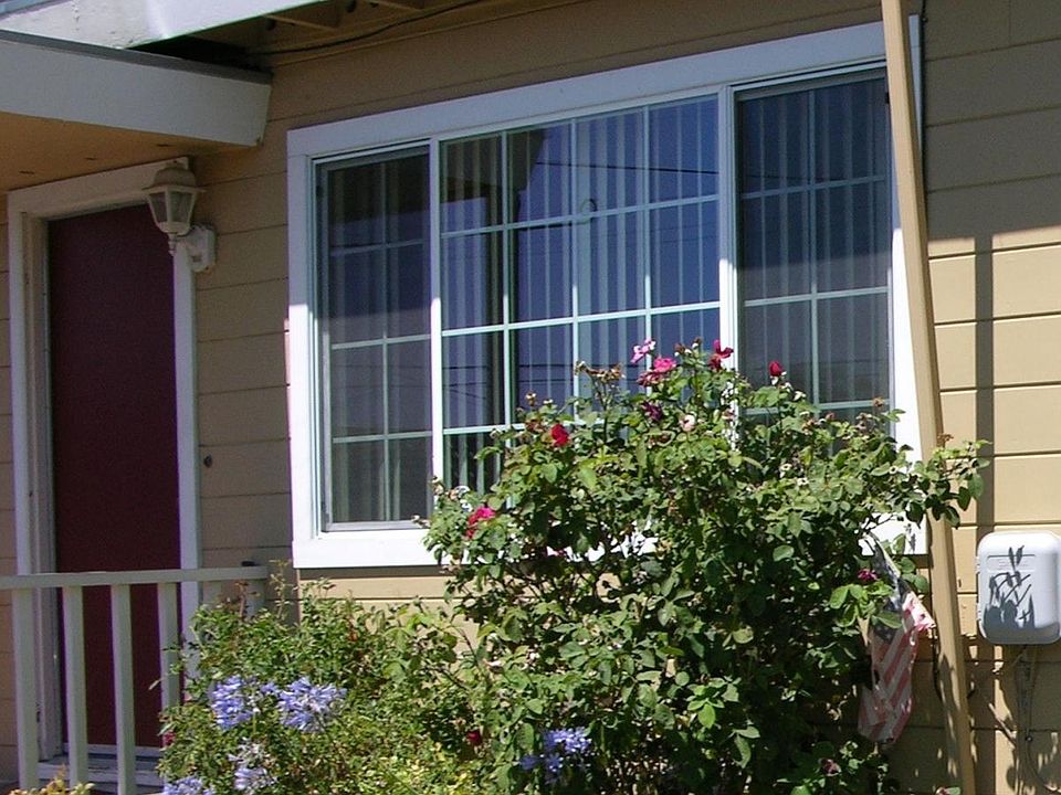 Front Window