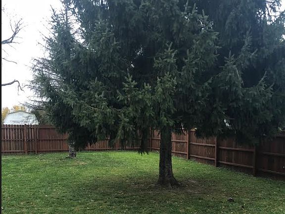 spacious back yard
