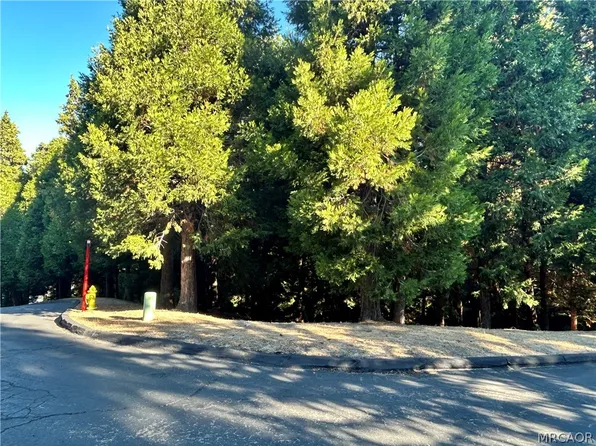 28980 White Dove Ln, Lake Arrowhead, CA 92352