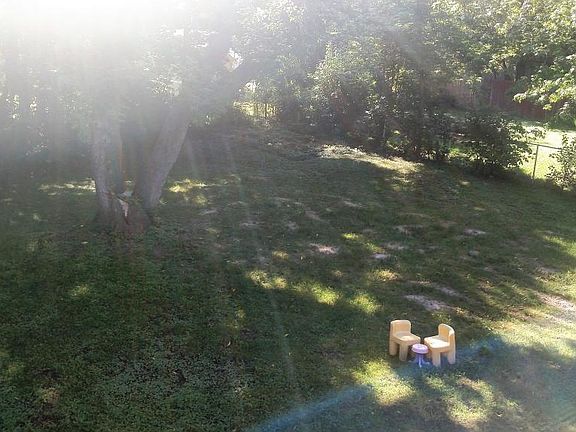 Large fenced backyard!