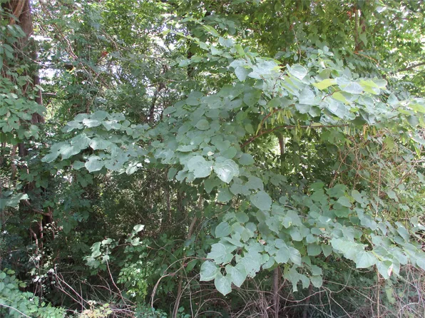 Laura Dr, Edgewood, TX 75117