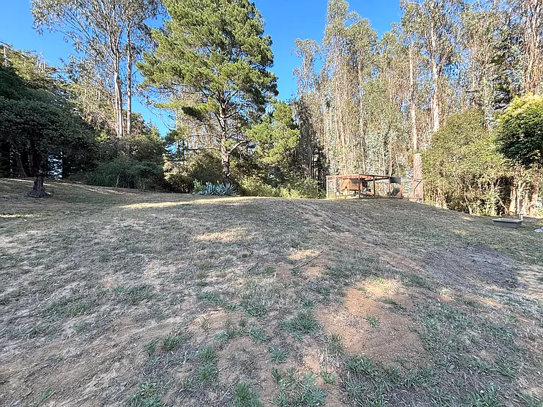 221 Gillette Rd — Photo 35