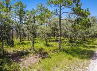Softstone Dr LOT 2, Webster, FL 33597
