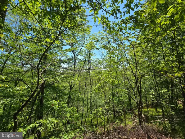 6795 Oakrise Rd, New Market, MD 21774