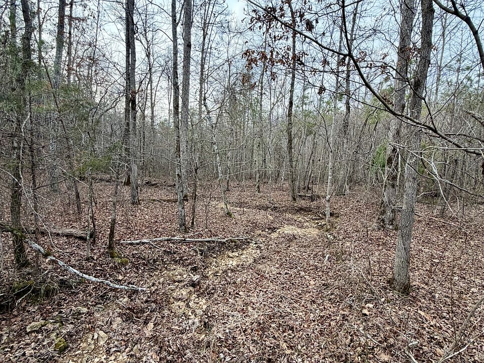 46th image of 1 Roan Creek Rd