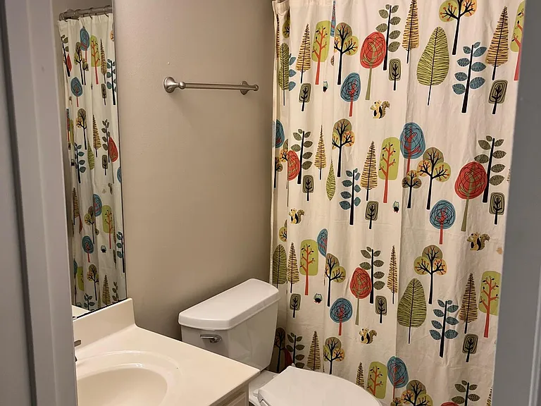Hall Bathroom
