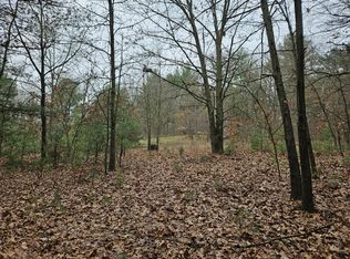 606 S George St, Decatur, MI 49045