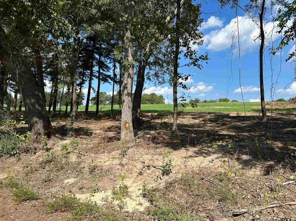9 County Road 409d, Henderson, TX 75654