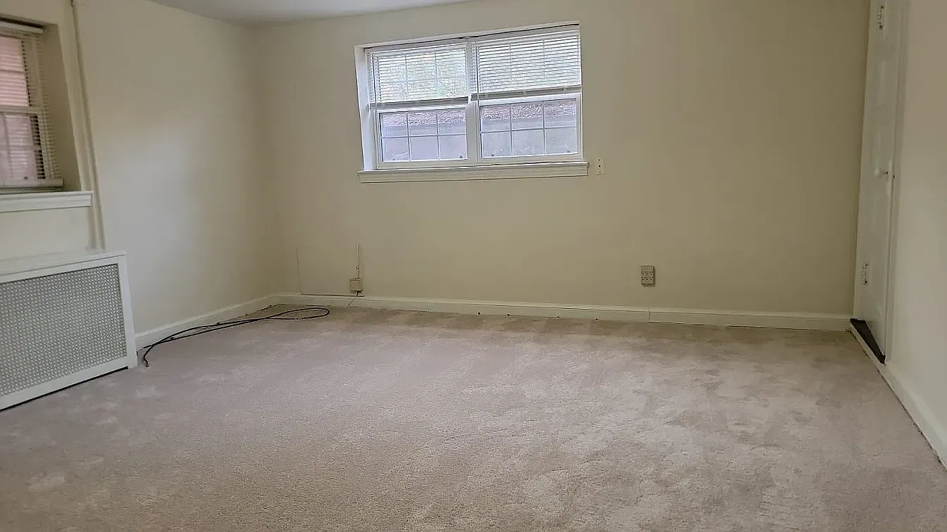 1 bed, $1,500 — Photo 3