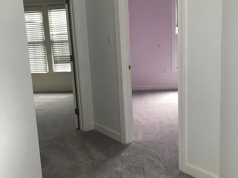6248 Levi Ct — Photo 48
