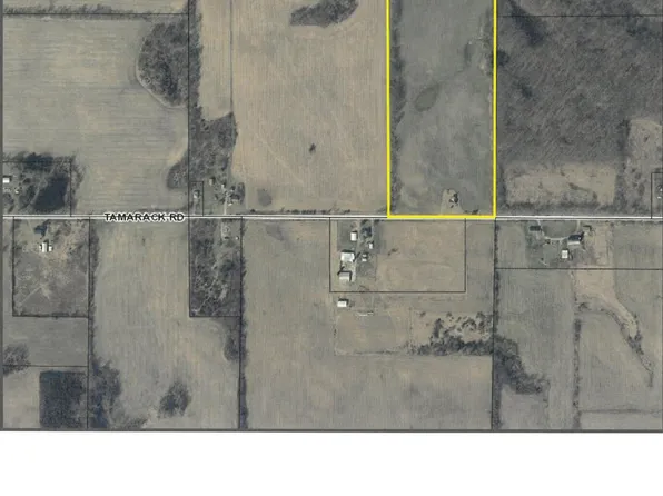 6700 Tamarack Rd, Osseo, MI 49266