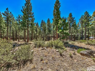 405 Yellow Pine Rd, Reno, NV, 89511