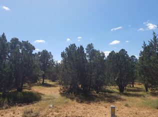 2958 Lookout Ln, Overgaard, AZ 85933