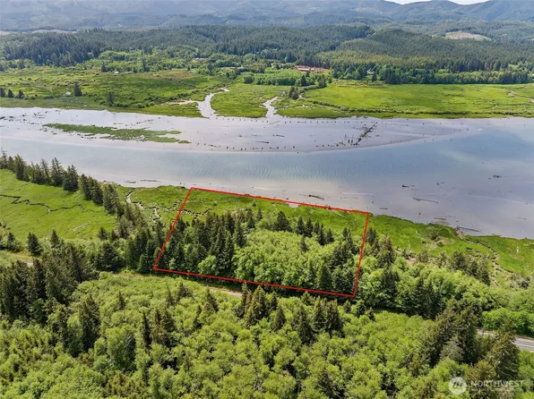 0 Lot SR 4 #3, Naselle, WA 98638