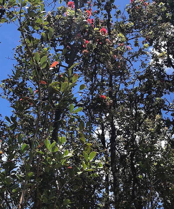 1st image of 16-1213 Road 2 Lot 2968