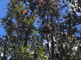 16-1213 Road 2 LOT 2968, Mountain View, HI 96771