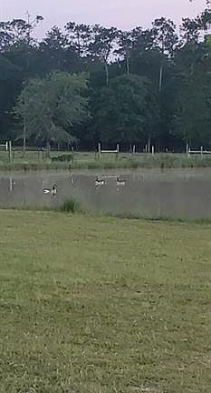 4th image of 5670 Fm 770 Rd