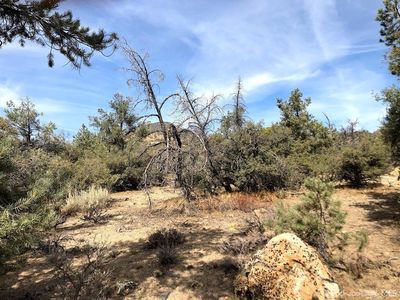 0 Country Canyon Rd #31, Tehachapi, CA, 93561