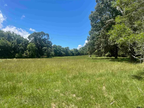 419 Acr 434, Palestine, TX 75803